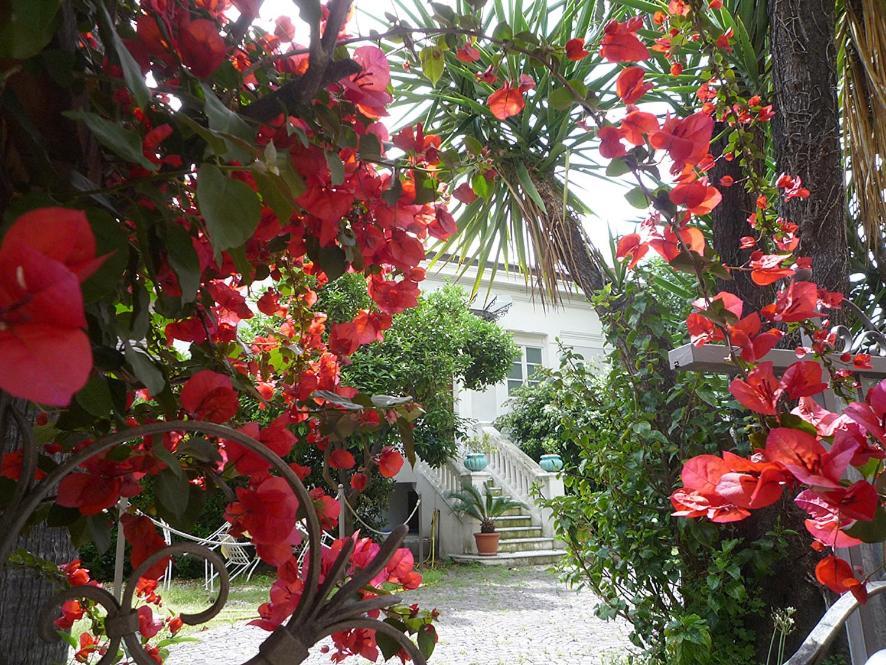 Hotel Palais La Nasse Sanremo Exteriér fotografie